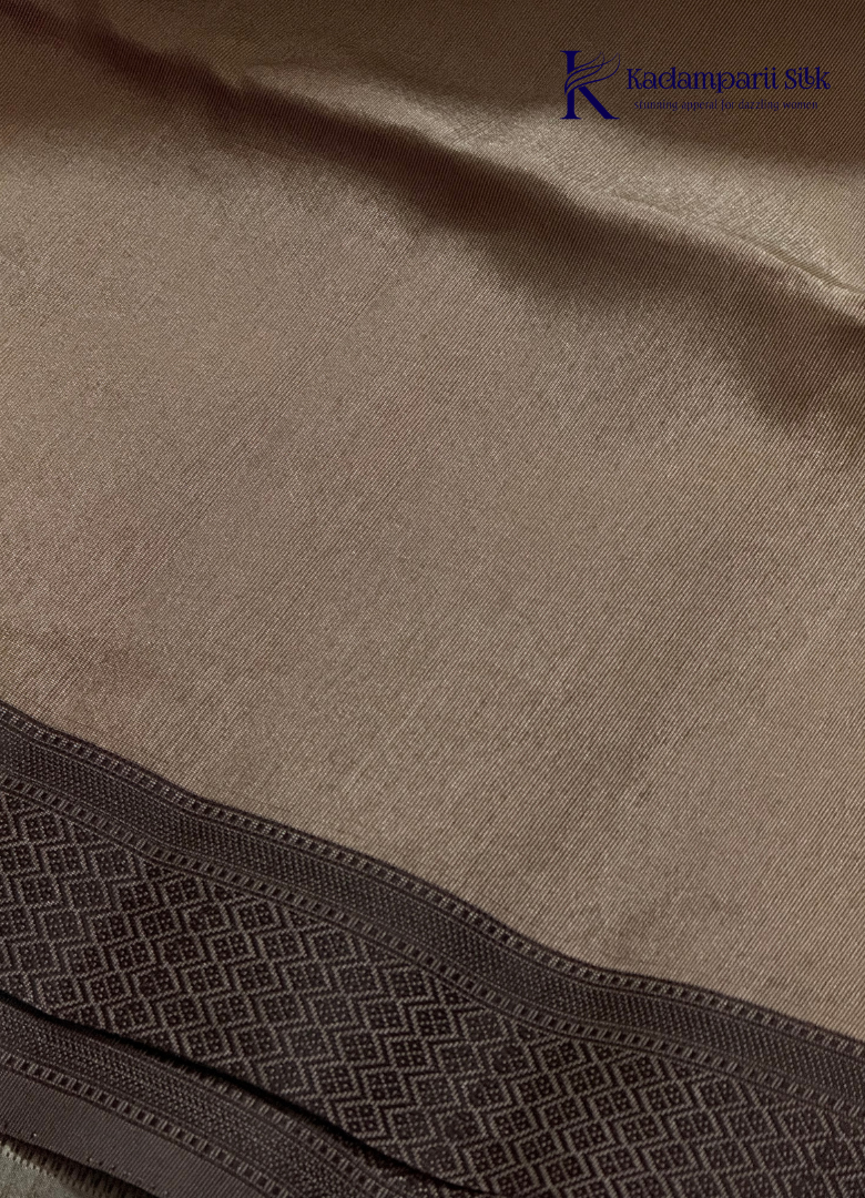 Soft Tussar Silk Saree with Striped Pallu, Abstract Printed Body & Tassels